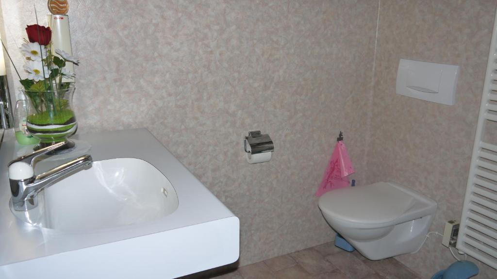 Gasthaus Bergheim Gurtnellen Pokój zdjęcie